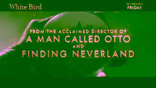 Cineplex Pictures WHITE BIRD In theatres Friday Cineplex Pictures Ad Commercial Brand Imagery Photoshoot 0