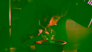 John Lewis Snapper The Perfect Tree John Lewis Partners Christmas Ad 2023 Ad Commercial Brand Imagery Photoshoot 0