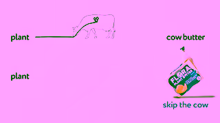 Flora Plant DIAGRAM 10sec Ad Commercial Brand Imagery Photoshoot 0