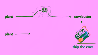 Flora Plant DIAGRAM 10sec Ad Commercial Brand Imagery Photoshoot 1