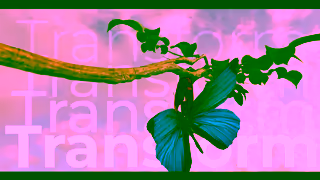Newgen Software AIpowered Newgen Health platform Newgen Software Ad Commercial Brand Imagery Photoshoot 1