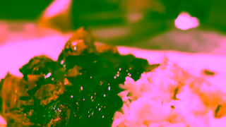 Guzman Y Gomez GYGs Chicken Mini Meal 6 SEC Ad Commercial Brand Imagery Photoshoot 1
