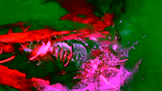 Xbox NINJA GAIDEN 4 Official Release Date Trailer Xbox Games Showcase 2025 Ad Commercial Brand Imagery Photoshoot 1