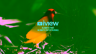 ABC Network Nature 6s ABC TV ABC iview Ad Commercial Brand Imagery Photoshoot 2