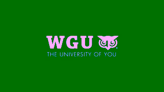 Western Governors University 24 1952856 VP FY25 Q2 UF GEN BTS They Said Flexibility Empowerment Digital Video 2 of 3 06sec Ad Commercial Brand Imagery Photoshoot 2
