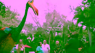 Disney Parks The Most Magical Place On Earth Ad Commercial Brand Imagery Photoshoot 1