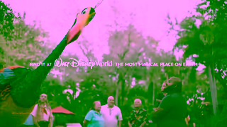 Disney Parks The Most Magical Place On Earth Ad Commercial Brand Imagery Photoshoot 2