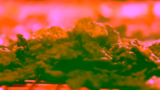 Kellogg's Mornings just got more mouthwatering with Kelloggs Special K cereal Ad Commercial Brand Imagery Photoshoot 0