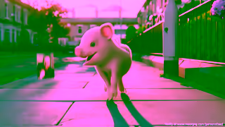 Moonpig MP FD 25 Landscape 30 sec Ad Commercial Brand Imagery Photoshoot 1