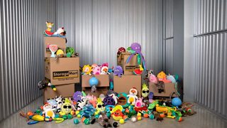 StorageMart Make Room for Marley 6 Sec Ad Commercial Brand Imagery Photoshoot 0