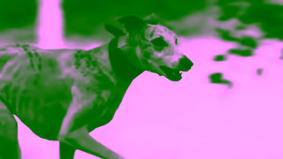Royal Canin DogENROYAL CANIN A WALK OUT 30s PUPPY VA MIXWEB VCAN 16x9 231122 NEW Ad Commercial Brand Imagery Photoshoot 1