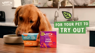 Lily's Kitchen Starter packs for pets Ad Commercial Brand Imagery Photoshoot 1