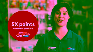 PetSmart Celebrate Anything for cats month with 5X points Ad Commercial Brand Imagery Photoshoot 1