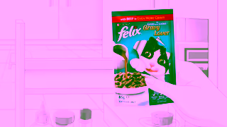 Purina FELIX Gravy Lover Ad Commercial Brand Imagery Photoshoot 0