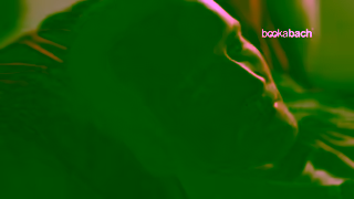 Bookabach NZ EN 06 Locked Out 16x9 WebMix Youtube V1 Ad Commercial Brand Imagery Photoshoot 0