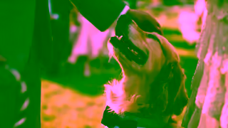 PetSmart Say Id Do Anything Canada Welcome Offer Ad Commercial Brand Imagery Photoshoot 2