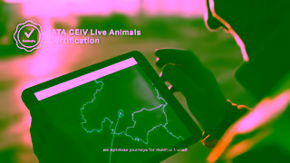 Cathay Pacific CATHAY LIVE ANIMAL 15s Flight Route EN Ad Commercial Brand Imagery Photoshoot 1
