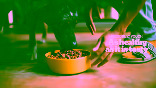 Pedigree PEDIGREE Pouch As Healthy as it is tasty Ad Commercial Brand Imagery Photoshoot 2