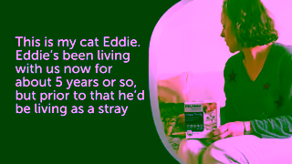 FELIWAY Keep your Cats Stress Levels LOW and Their WellBeing HIGH Ad Commercial Brand Imagery Photoshoot 0