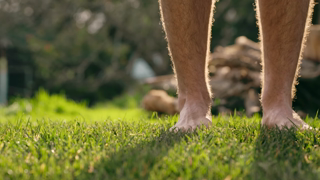 Scotts Scotts Lawn Builder For Greener Grass Ad Commercial Brand Imagery Photoshoot 1