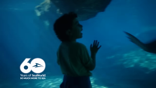 SeaWorld San Diego SWC24OpenYourWorldSpooktacularPASSSvUpTo20PcYT15ENG Ad Commercial Brand Imagery Photoshoot 0