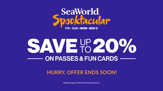 SeaWorld San Diego SWC24OpenYourWorldSpooktacularPASSSvUpTo20PcYT15ENG Ad Commercial Brand Imagery Photoshoot 2