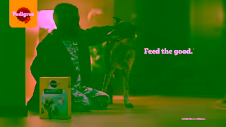 Pedigree PEDIGREE Feed the good Ad Commercial Brand Imagery Photoshoot 2