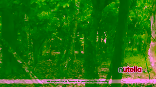 Nutella Lets Talk Nutella Nutella biodiversity Ad Commercial Brand Imagery Photoshoot 1
