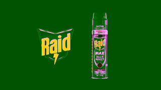 Raid Raid Everyone deserves protection Ad Commercial Brand Imagery Photoshoot 0