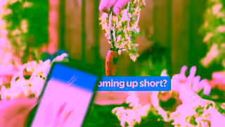 Walmart When the harvest isnt a haul get freshness delivered with Walmart Online Grocery Ad Commercial Brand Imagery Photoshoot 1