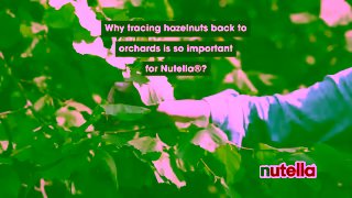 Nutella Lets talk Nutella Hazelnut sourcing Ad Commercial Brand Imagery Photoshoot 0