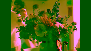 Interflora Interflora Say More TV Ad 10 Trailer Ad Commercial Brand Imagery Photoshoot 1