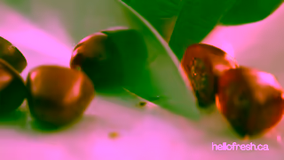 HelloFresh Value Ad Commercial Brand Imagery Photoshoot 1