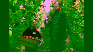 Coles Quality Apples 15 Ad Commercial Brand Imagery Photoshoot 1