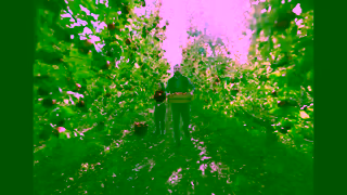 Coles Quality Apples 15 Ad Commercial Brand Imagery Photoshoot 2