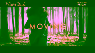 Cineplex Pictures WHITE BIRD In theatres Friday Cineplex Pictures Ad Commercial Brand Imagery Photoshoot 1