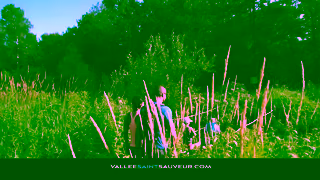 Tourisme Laurentides Experience the Magic of the SaintSauveur Valley Summer 2025 Ad Commercial Brand Imagery Photoshoot 1