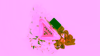 PRADA Prada Paradoxe EDP INGREDIENTS ENVOLEE 6S 16x9 Ad Commercial Brand Imagery Photoshoot 2