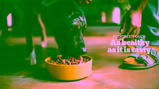 Pedigree PEDIGREE Pouch As Healthy as it is tasty Ad Commercial Brand Imagery Photoshoot 1