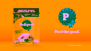 Pedigree PEDIGREE Pouch As Healthy as it is tasty Ad Commercial Brand Imagery Photoshoot 2