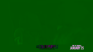 Warner Brothers The Color Purple  January 25 Ad Commercial Brand Imagery Photoshoot 2