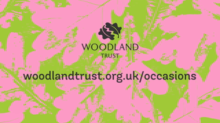 The Woodland Trust Woodland Trust YouTube Ad Dedicate trees and woodland today Ad Commercial Brand Imagery Photoshoot 2