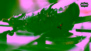 Al'Fez AlFez Smoky Aubergine Tagine 6 secs Ad Commercial Brand Imagery Photoshoot 0
