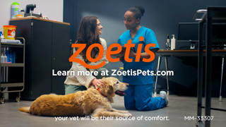 Zoetis CAEN Itchy Dog Ad Commercial Brand Imagery Photoshoot 2