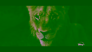 Disney Plus Now streaming Ad Commercial Brand Imagery Photoshoot 1