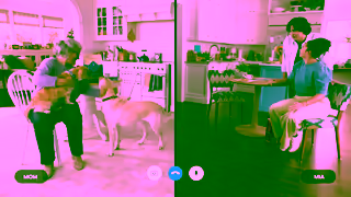 Blue Buffalo VID YouTube 30s NTH H2HPurina EN NIN LFDD SAS NP NL BBC0348 LM na Ad Commercial Brand Imagery Photoshoot 2