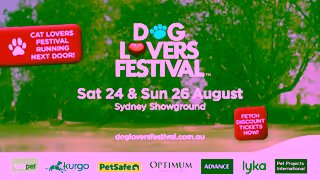The Dog Lovers Festival Sydney Dog Lovers Festival 2024 TVC Ad Commercial Brand Imagery Photoshoot 2
