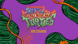 Paramount Plus Tales of the Teenage Mutant Ninja Turtles Now Streaming Paramount Ad Commercial Brand Imagery Photoshoot 2