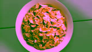 Kellogg's Kelloggs Frosted Flakes Theyre Still Grrreat Ad Commercial Brand Imagery Photoshoot 0