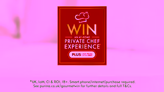 Purina Gourmet 2025 Portfolio Comp Ad Commercial Brand Imagery Photoshoot 1
